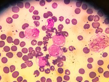 © Arif Biswas - stock.adobe.com