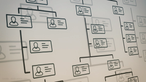 Organization chart