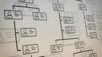Organization chart of employees