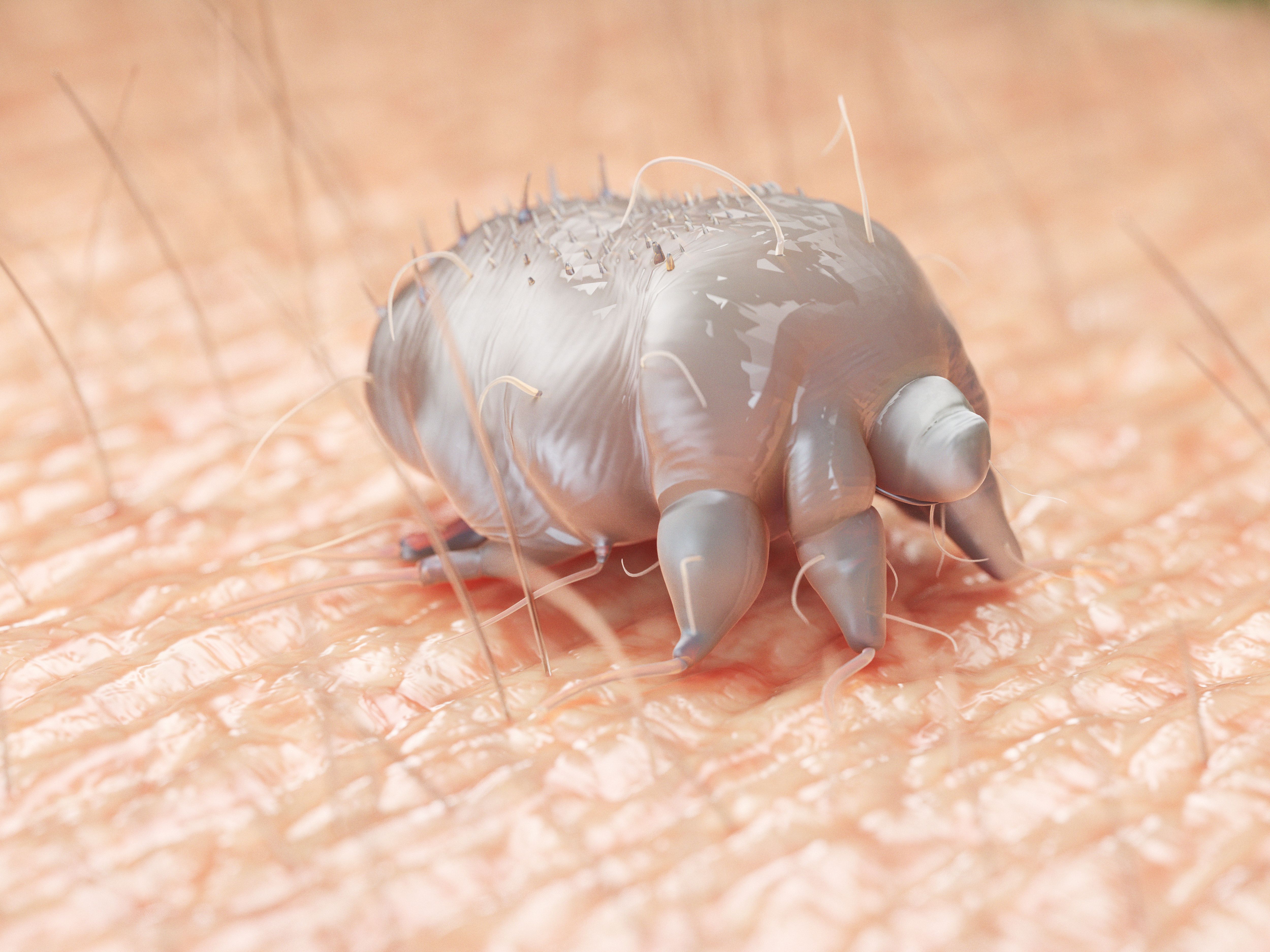 ParaPRO’s Antiparasitic Natroba is Now Available