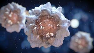 Removing the CD47 ‘Do Not Eat Me’ Sign