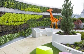 Rooftop Garden