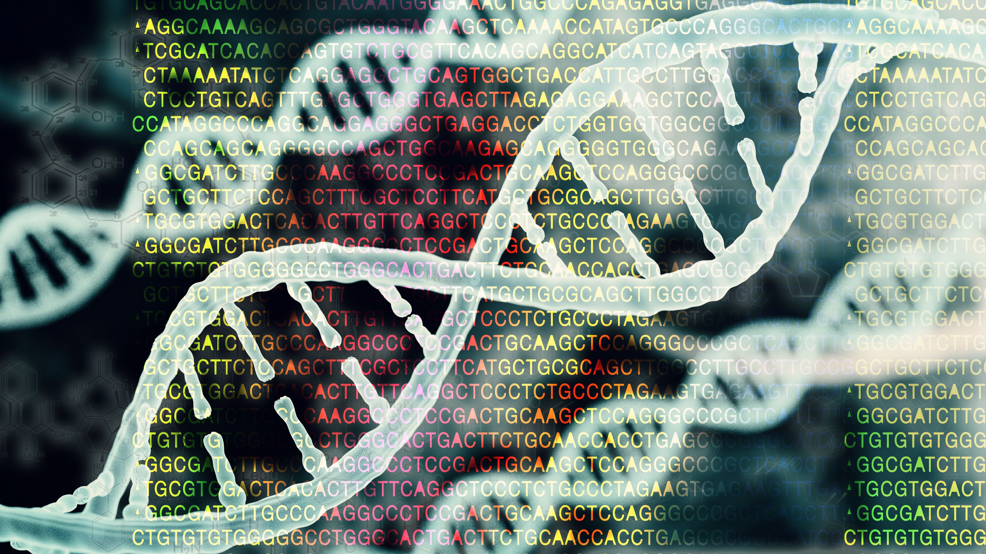 DNA image showing helix shape in white | image credit: @catalin  stock.adobe.com