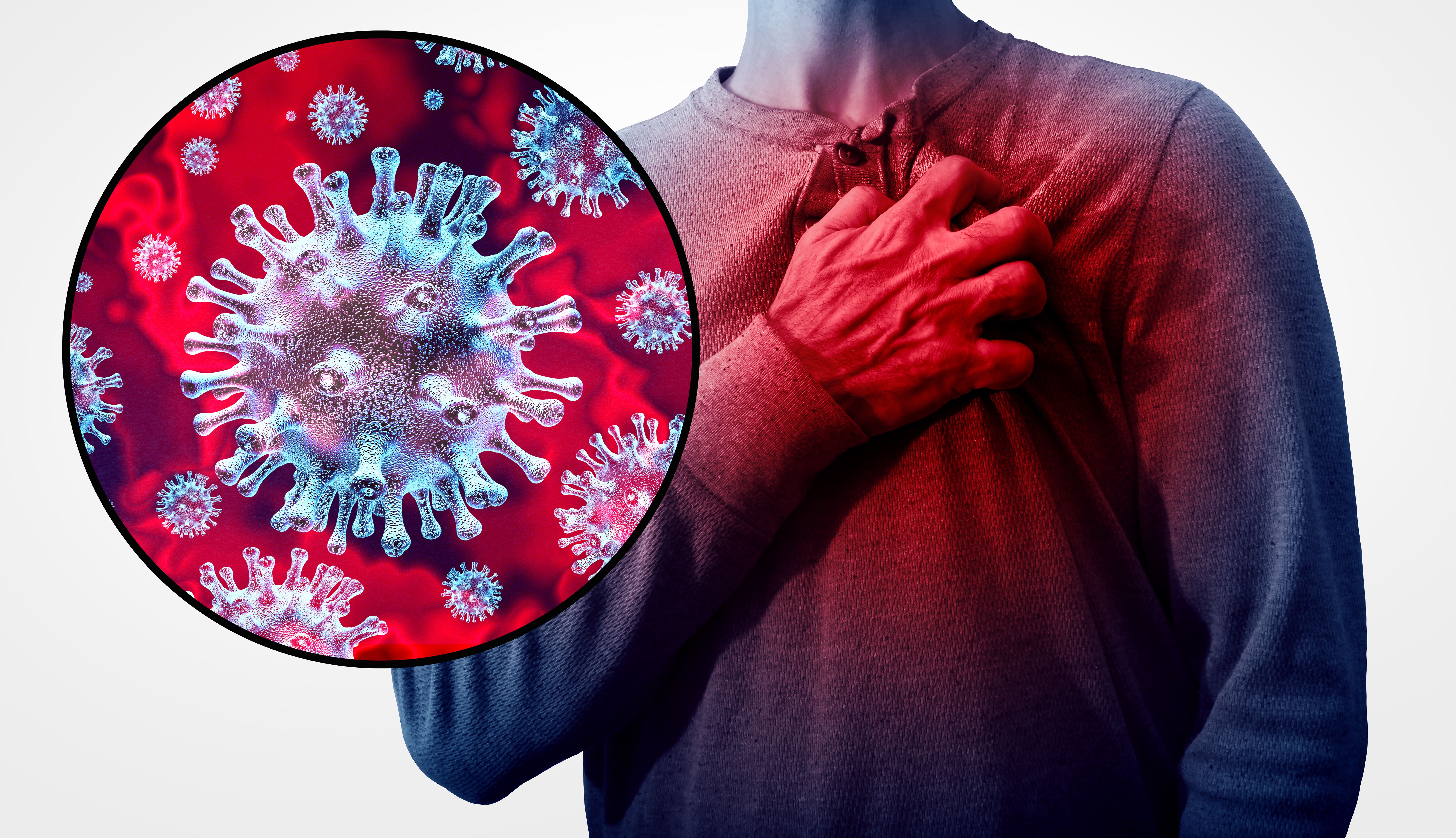 <![CDATA[How flu infections trigger heart damage]]>