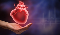 Novo Nordisk's ziltivekimab falls short to reduce cardiovascular events in phase 3 trial