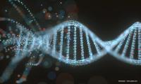 Laru-zova sustains visual function improvements at 12 months in XLRP gene therapy trial