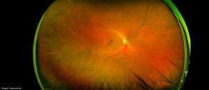 Image Credit: ©Jevgenij - stock.adobe.com