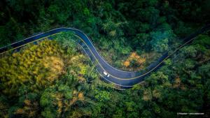 Q&A: Peripheral vision IOL's influence on driving performance