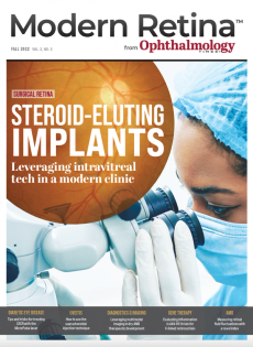 Modern Retina Fall 2022