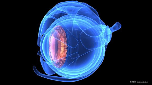 AAO 2025 Takeaways: How imaging and remote monitoring are transforming retinal care