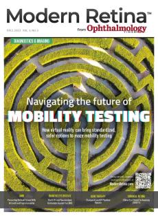 Modern Retina Fall 2023