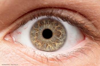 ©bradleyblackburn / stock.adobe.com