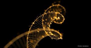 Seeing the difference: Multimodal imaging for AMD and GA