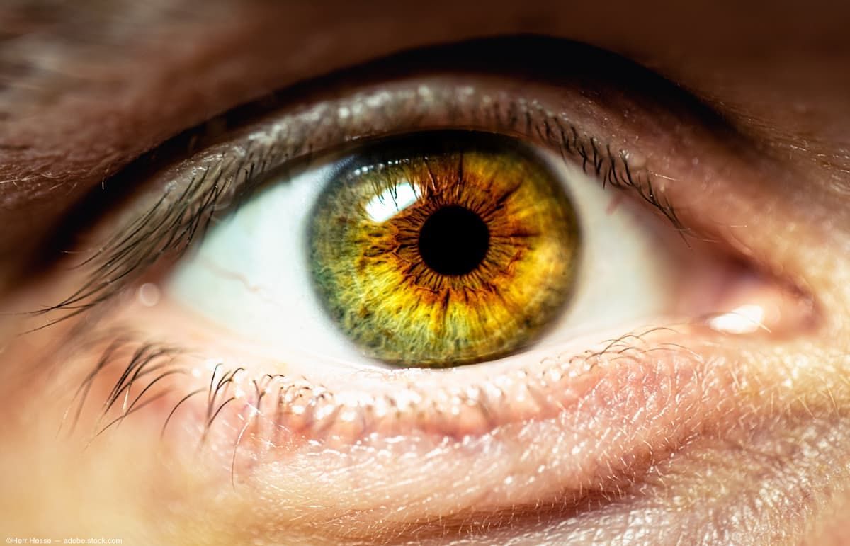 Image credit: ©Herr Hesse – stock.adobe.com