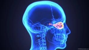 Microaneurysm turnover predicts diabetic retinopathy progression