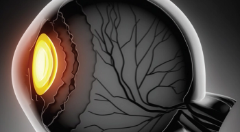 How ophthalmologists can benefit from en face OCT