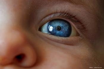 Image credit: ©Martin – stock.adobe.com