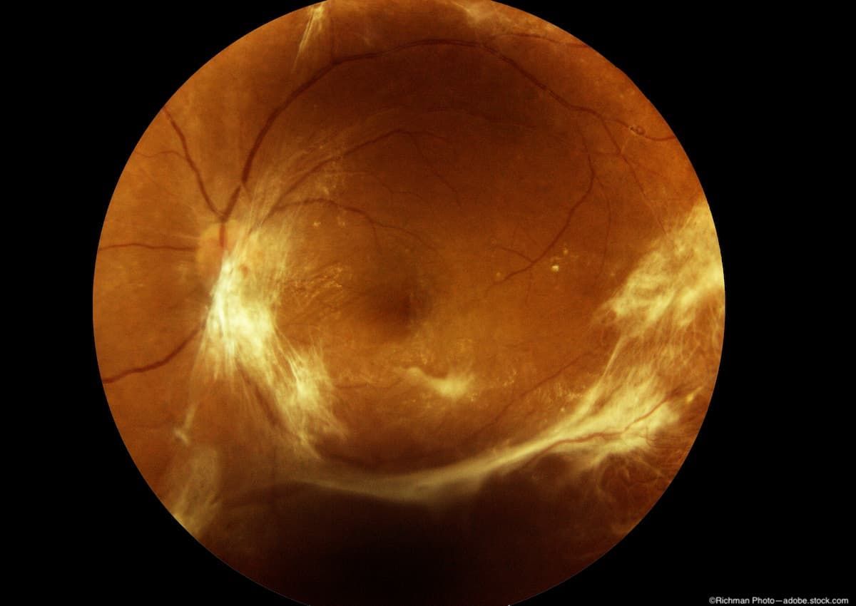 Image credit: ©Richman Photo.adobe.stock.com – stock.adobe.com