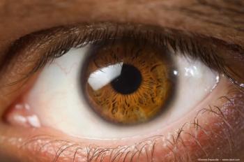 Image credit: ©Daniele Depascale – stock.adobe.com