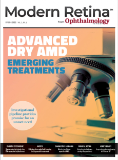 Modern Retina Spring 2022