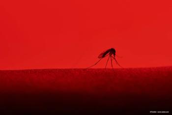 Optic nerve pallor proves prevalent in ZIKA virus patients, study finds
