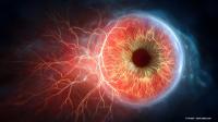 No 'smoking gun' OCT biomarker found for DME outcomes: Insights from Protocol T