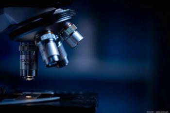 Image credit: ©chokniti – stock.adobe.com