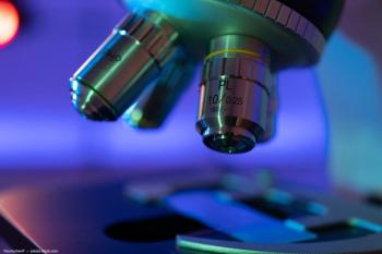 Image Credit: ©luchschenF - stock.adobe.com