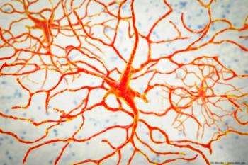 Image credit: ©Dr_Microbe – stock.adobe.com