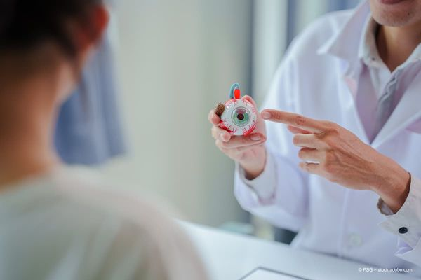 <![CDATA[FLORetina 2025: Reframing retinal disease through the lens of choroidal health]]>