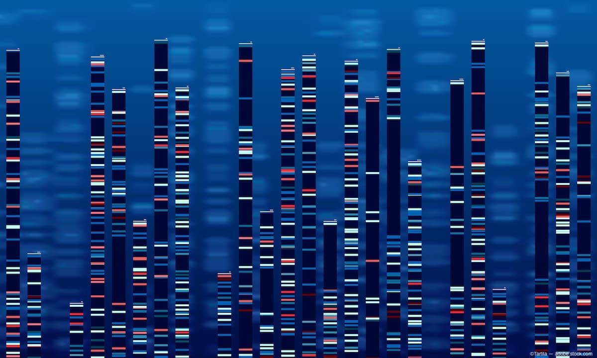 Image credit: ©Tartila – stock.adobe.com