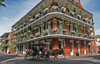 ©Calee Allen / stock.adobe.com