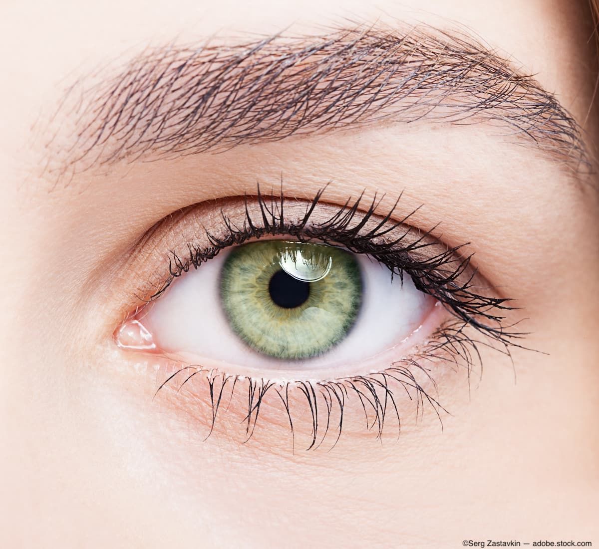 Image Credit: ©Serg Zastavkin - stock.adobe.com