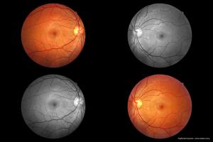 Gaining a greater understanding of AMD