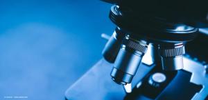 A review of the DAVIO 2 phase 2 trial results