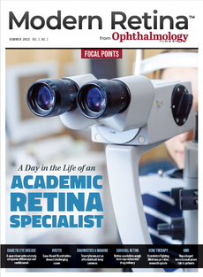 Modern Retina Summer 2022