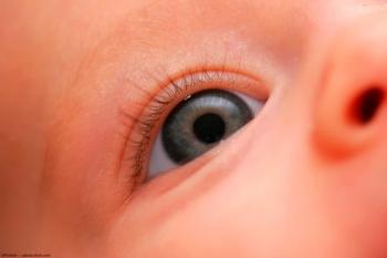 Image credit: ©PixAchi – stock.adobe.com