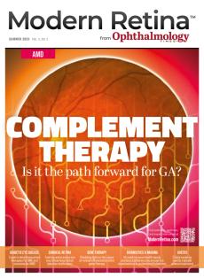 Modern Retina Summer 2023