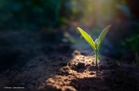 Getting to the root of geographic atrophy: Diagnosis and management