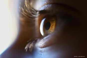 ©javiindy / stock.adobe.com