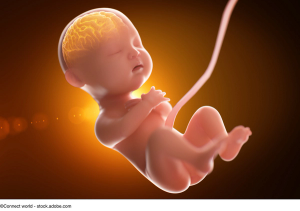 amniotic membrane