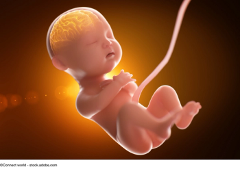 amniotic membrane