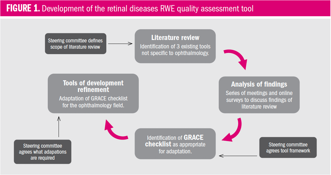 Figure 1: development of retinal diseases RWE quality assessment tool