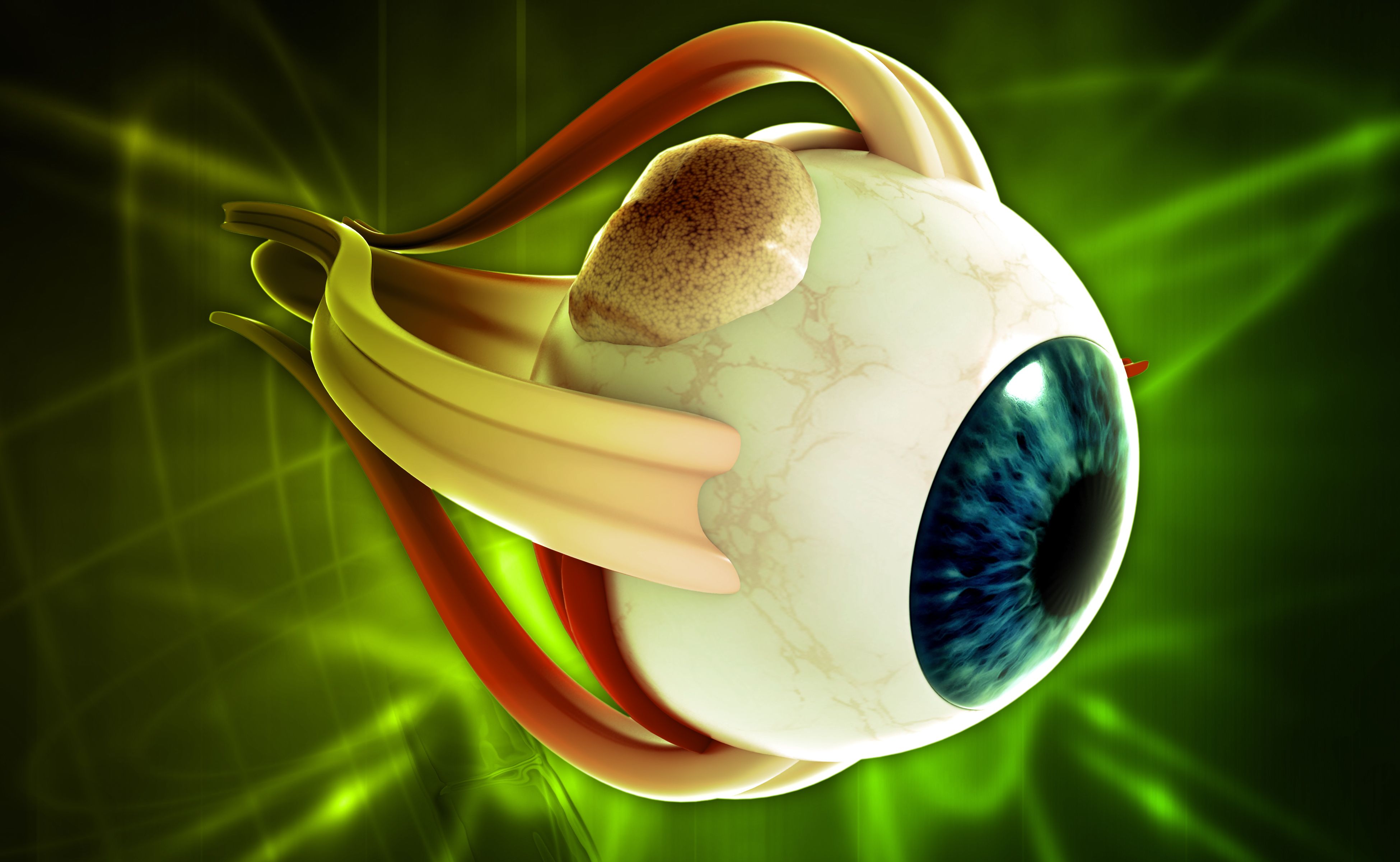 DME strategies directed by knowledge of mechanisms 