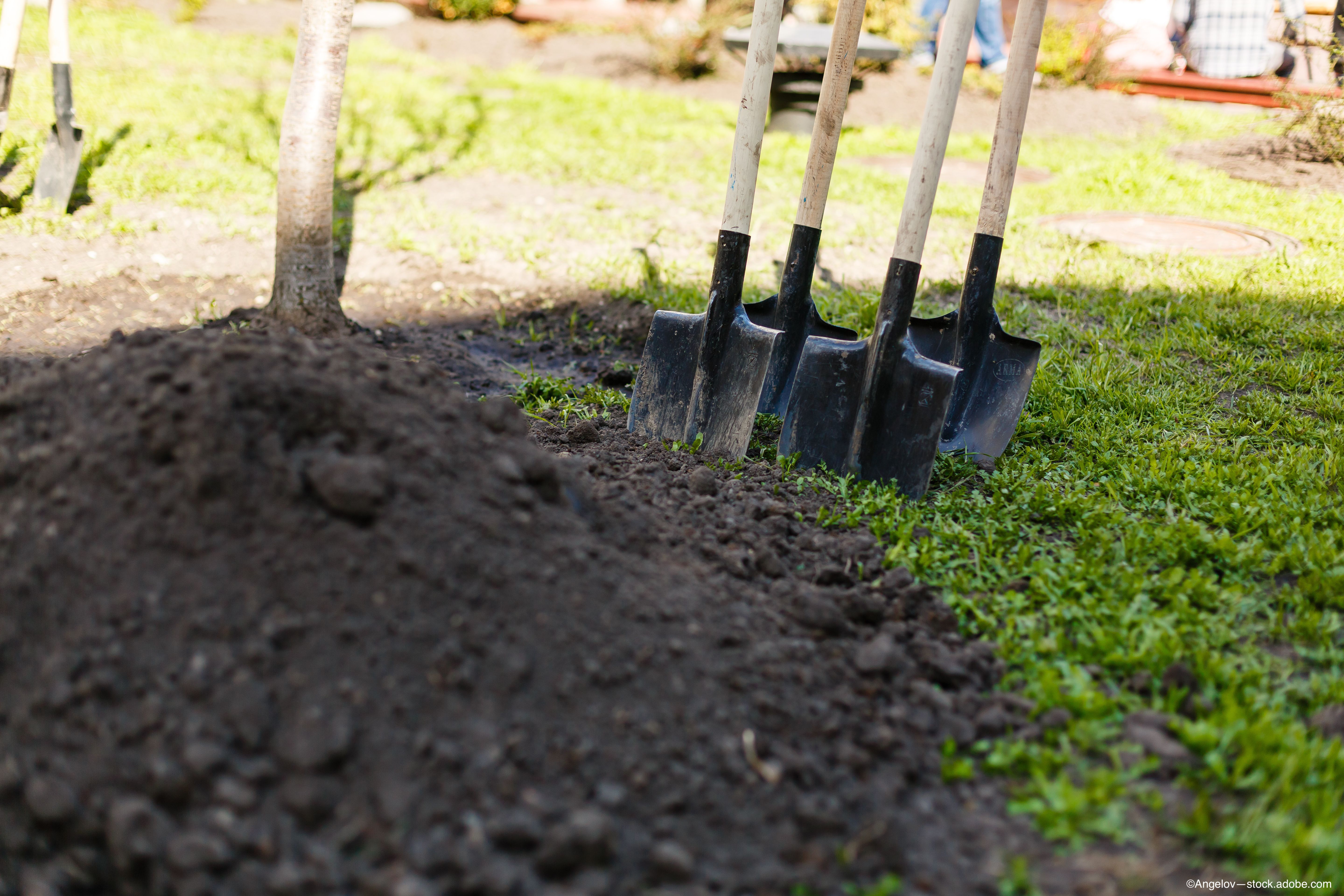 Lighthouse Guild breaks ground on new assistive Technology Center for vision loss assistance