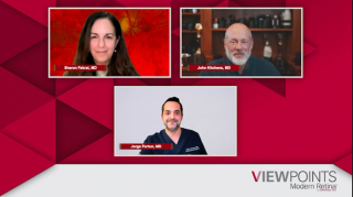 3 experts are featured in this series