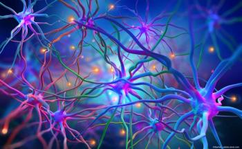 Image credit: ©Siarhei – stock.adobe.com