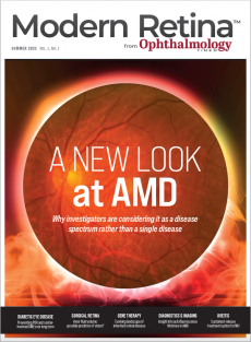 Modern Retina, Summer 2021