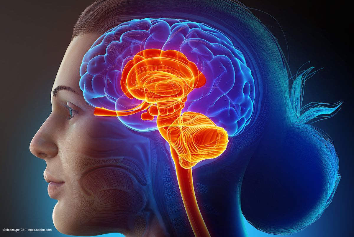 An image of a woman's head, with the eye, optic nerve, brain and central nervous system highlighted. Concept image for gene therapy, inherited retinal disease, Leber hereditary optic neuropathy and Leber congenital amaurosis. Image credit: ©pixdesign123 – stock.adobe.com