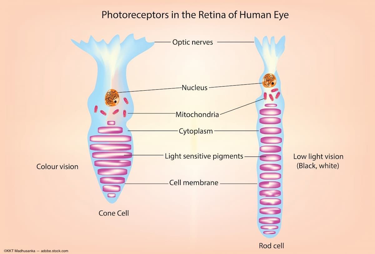 Image Credit: ©KKT Madhusanka - Adobe.stock.com